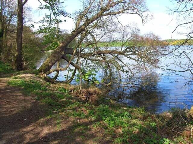 Southern end of Soulseat Loch One of several small lochs in this part of Wigtownshire.