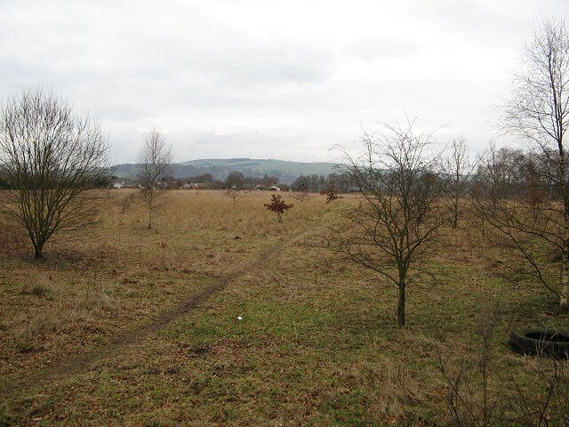 Future building land? Rosemount A large field that has had no agricultural activity for some time. Probably lined up for house building. It is an illustration of what happens when grazing ceases, the open field is turning into woodland.