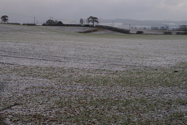Farmland at Rosemount With a light dusting of snow.