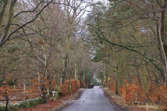 Road between Rosemount and Parkhead
