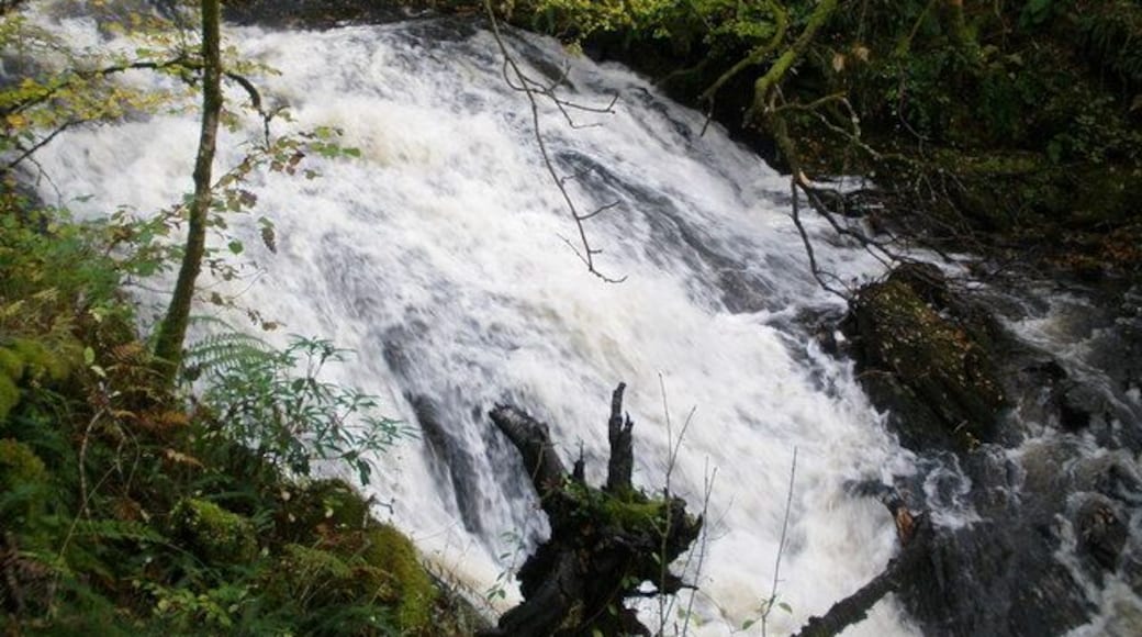 Allt Donachain burn rushing downhill to meet the River Orchy