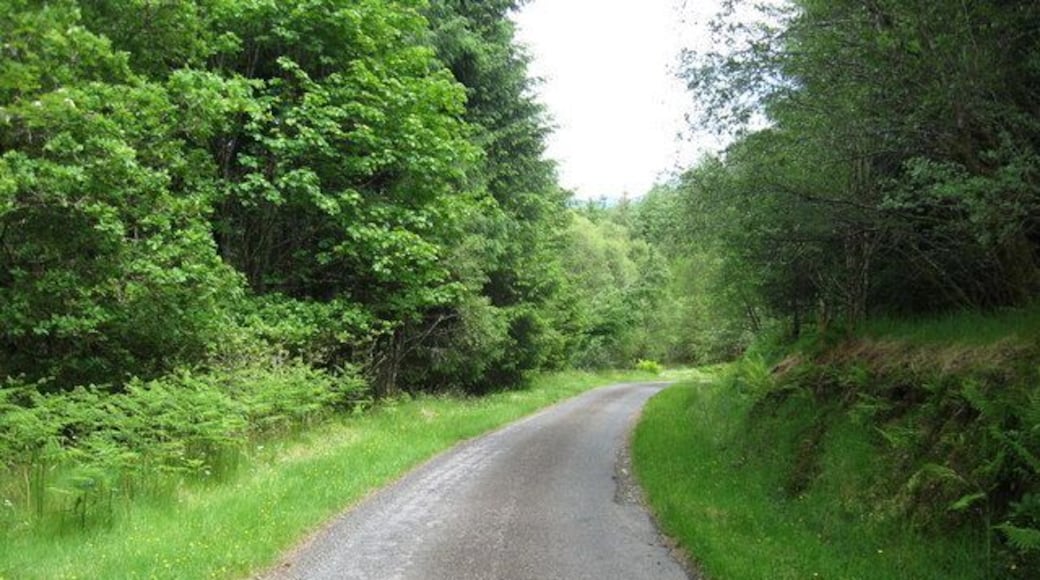 Continuing to Dalmally down Monument Hill The road is situated on an old military route.