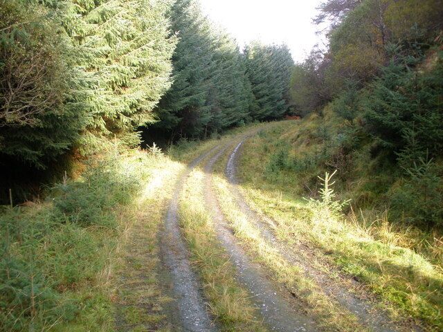 Track in Dalmally Forest