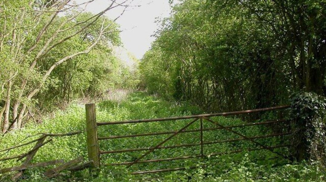 Stuchbury A farm gate across the dismantled Stratford Upon Avon Midland Junction Railway.