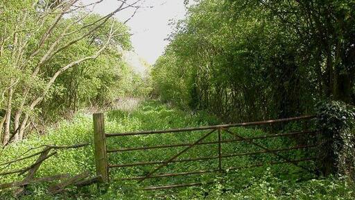 Stuchbury A farm gate across the dismantled Stratford Upon Avon Midland Junction Railway.