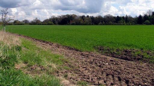 Farmland opposite Boot Farm. This section of farmland is situated in the north western corner of the grid square. The picture was taken from the section of the road opposite the Boot Farm Buildings looking east and north.