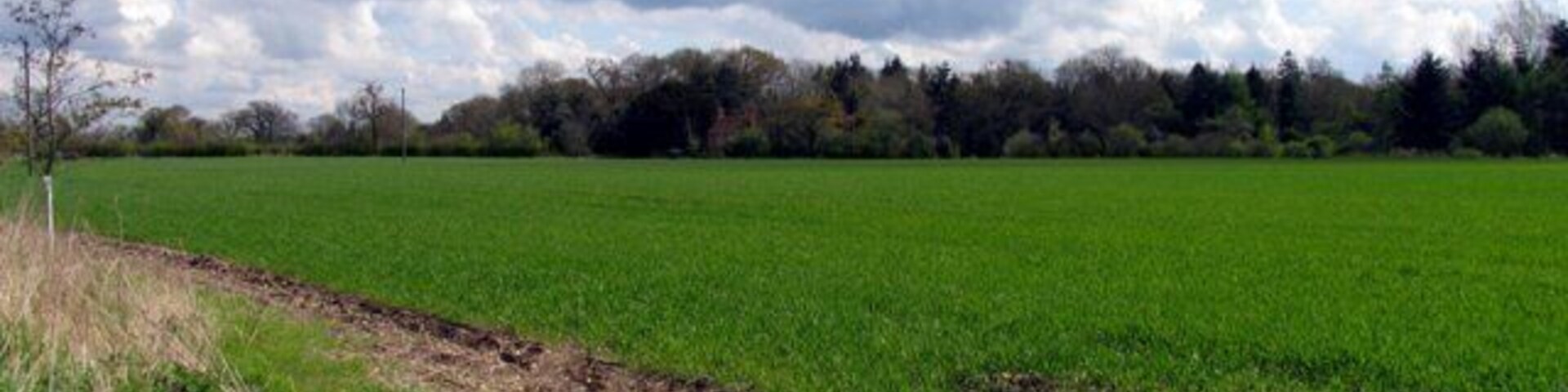 Farmland opposite Boot Farm. This section of farmland is situated in the north western corner of the grid square. The picture was taken from the section of the road opposite the Boot Farm Buildings looking east and north.