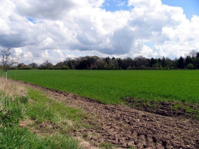 A plowed field with a line of trees in the background under a partly cloudy sky.