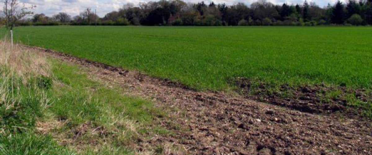 A plowed field with a line of trees in the background under a partly cloudy sky.