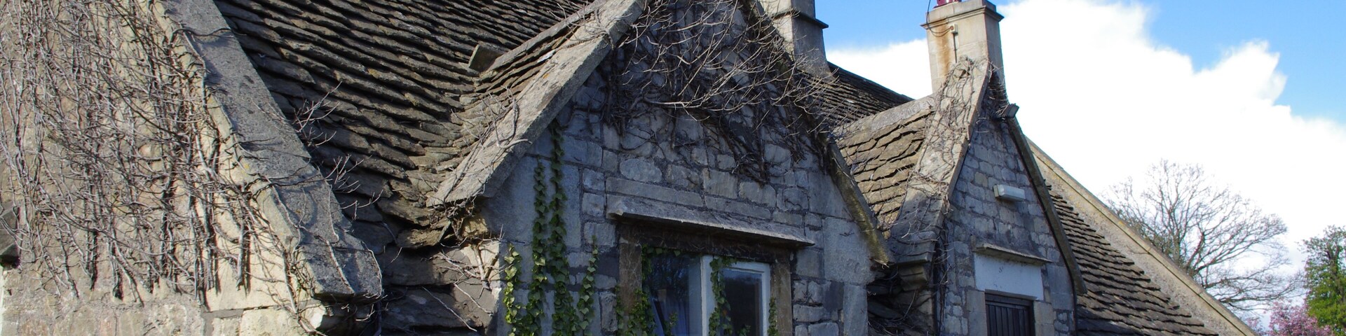 A stone house with ivy, a picket fence, and a clear blue sky.