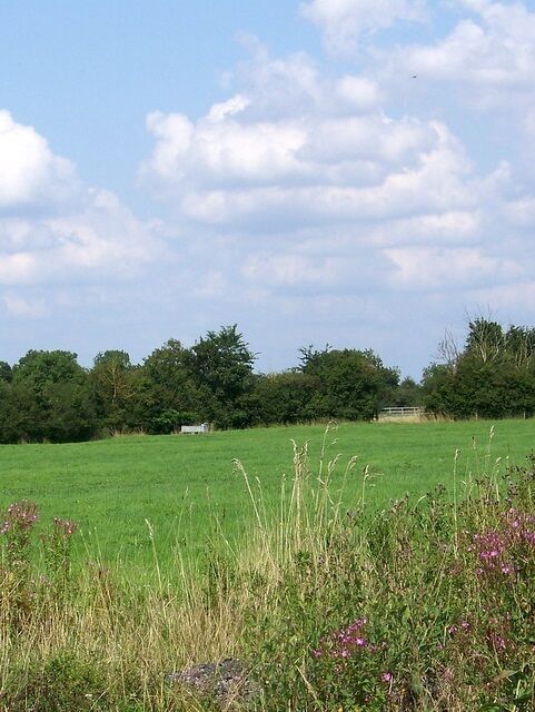 Footpath near Leigh The footpath takes walkers from Knapp Farm to High Bridge crossing small grass fields.