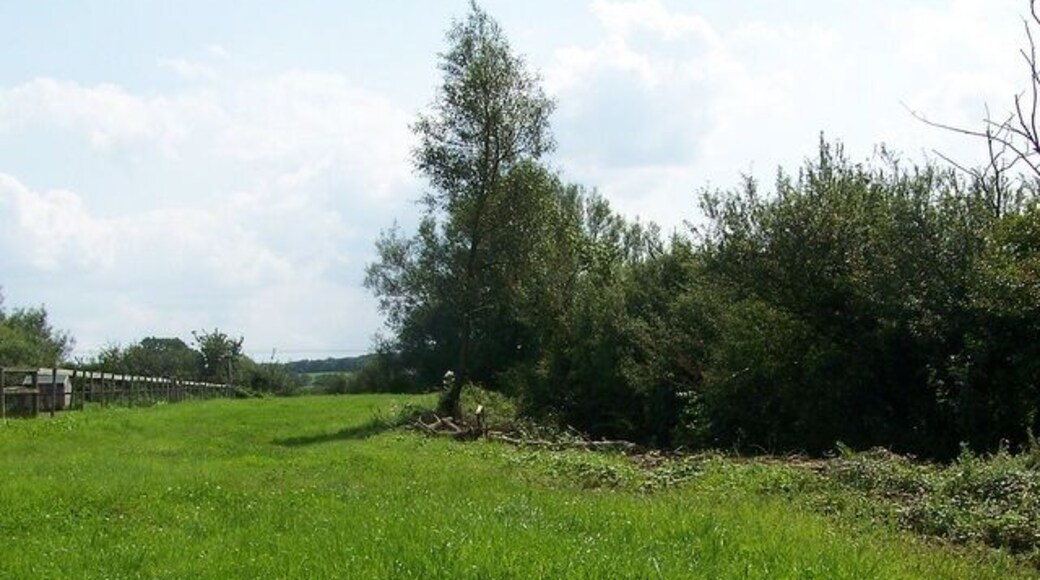 Bridleway, Knapp Farm The bridleway heads towards the B4040 initially through this narrow field of grass.