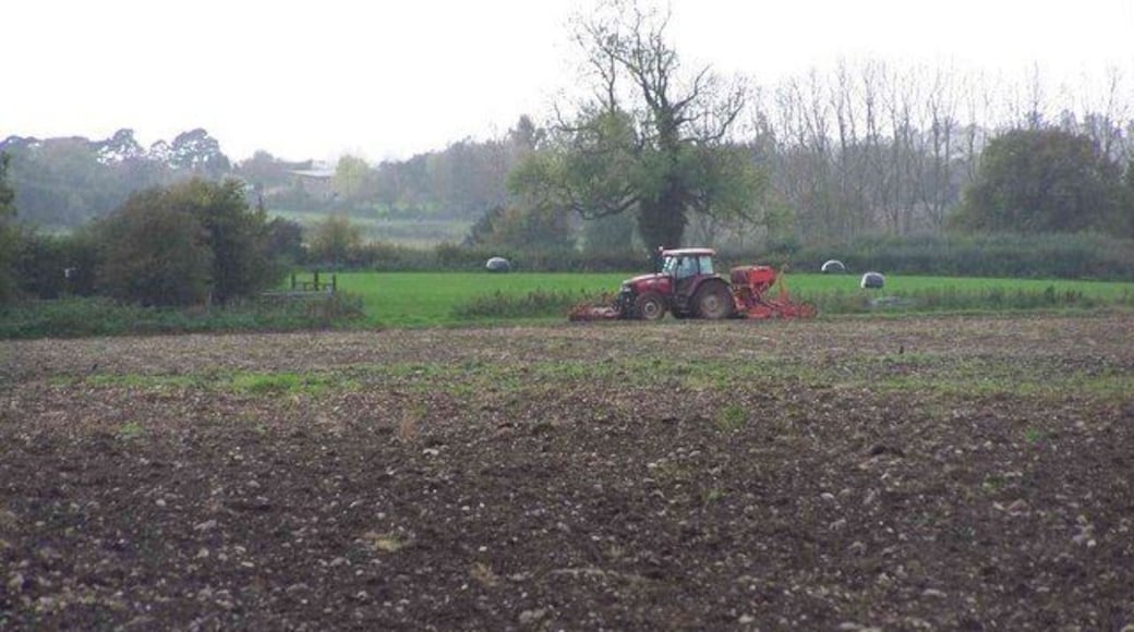 Ploughed Field, Near Bednall