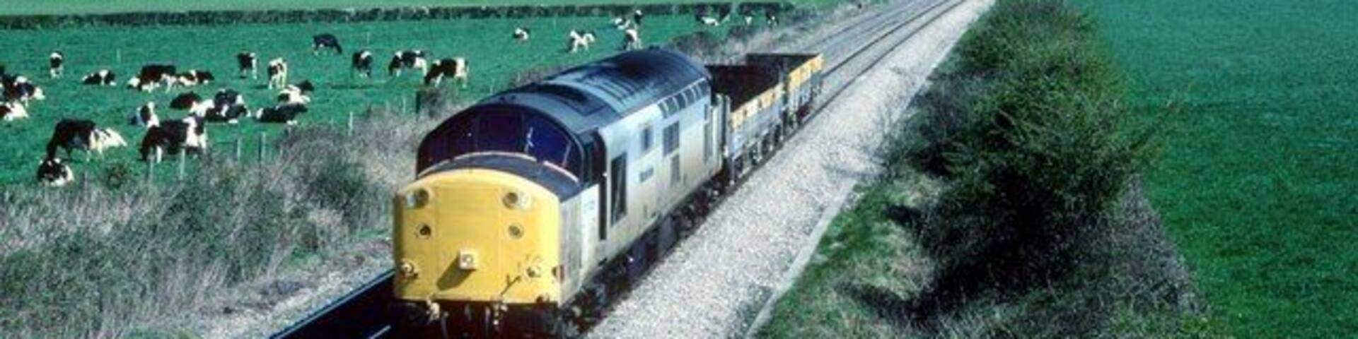 Lightweight freight at Berkley