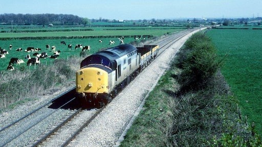 Lightweight freight at Berkley