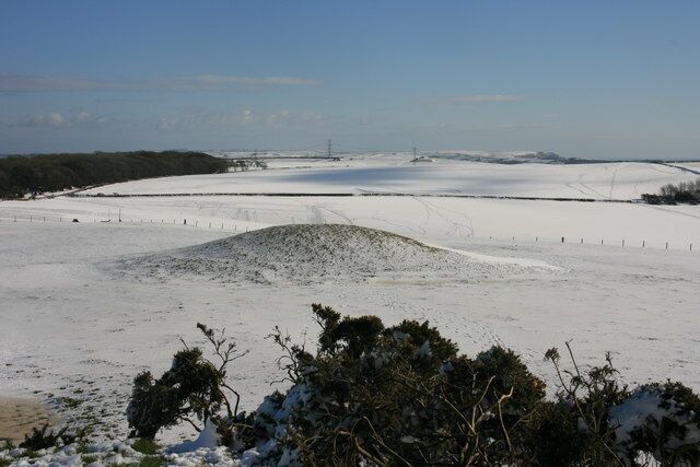 Came Down tumuli These two tumuli are separated by the 68th Easting. I am standing on the westernmost one which is covered in gorse. The eastern tumulus (the subject of this photo) is a low grassy hillock. Came Woods can be seen on the left.