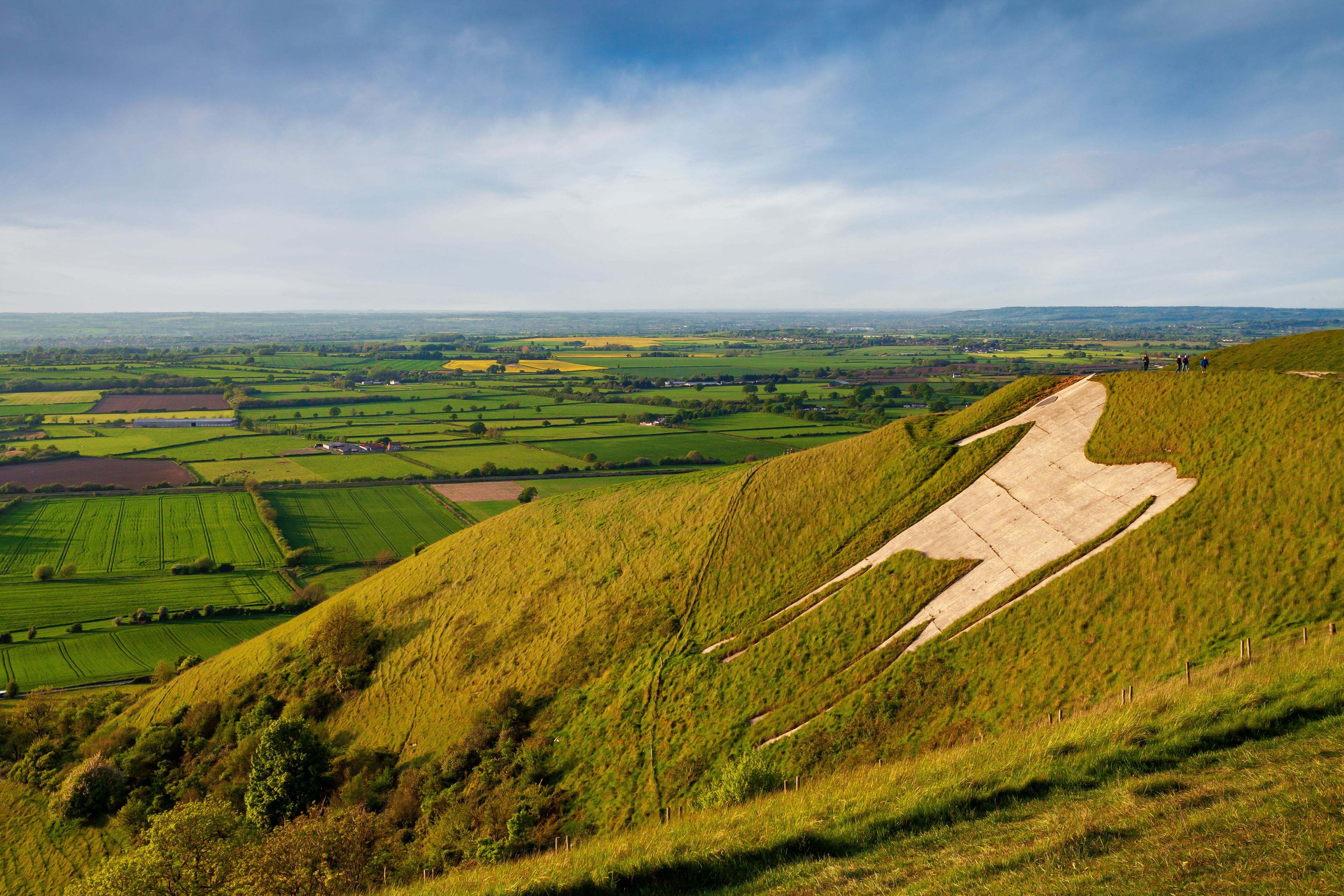 A grassy hill with a concrete path leading up.