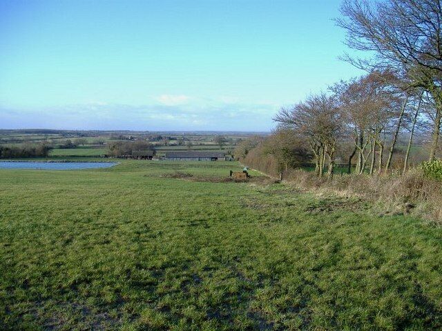 A grassy field with a body of water and trees in the background.