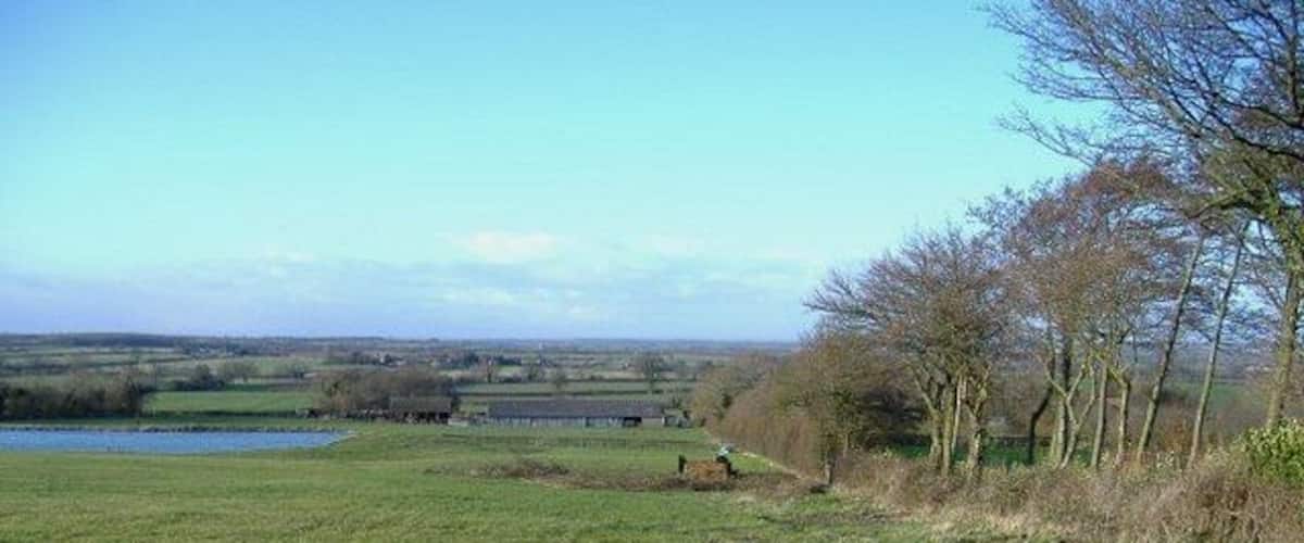 A grassy field with a body of water and trees in the background.