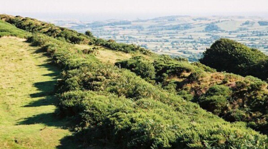 Atlas of Hillforts 3603 Pilsdon: Pilsdon Pen hill fort. Pilsdon Pen is 277m high; one of the highest points in Dorset. It was probably used by the Celtic Durotriges tribe before the Roman invasion. View to English Channel