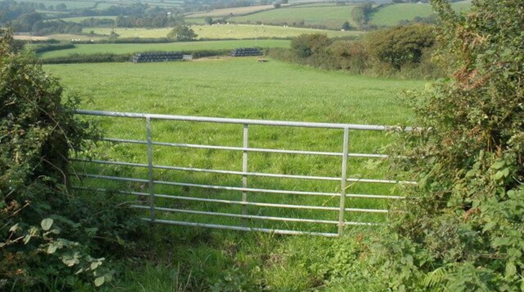 Pasture land, north of the B3164 Blackdown Hill can be glimpsed in the far distance.