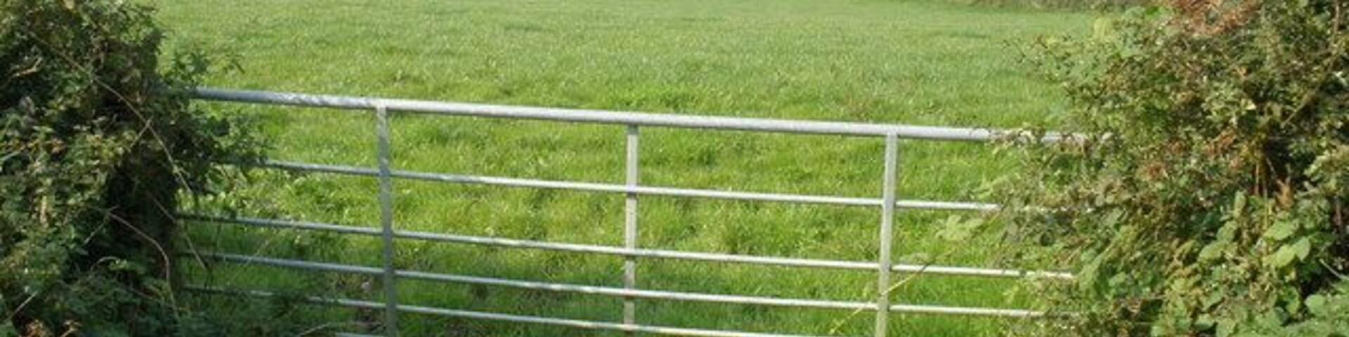 Pasture land, north of the B3164 Blackdown Hill can be glimpsed in the far distance.