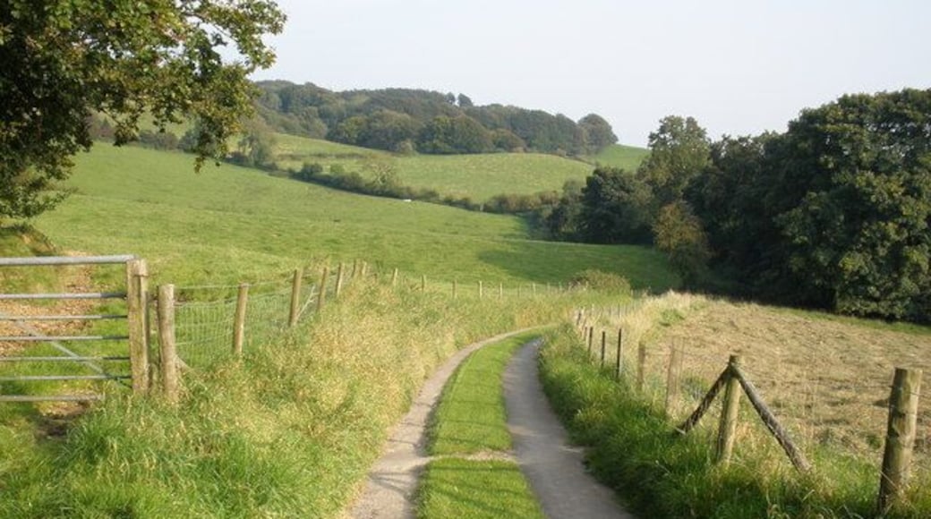 Farm track to Wall