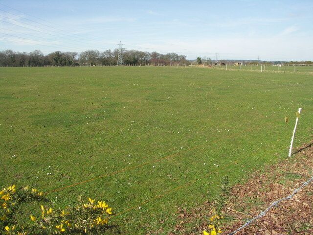 Fields at Bearwood To the west, open land extends for a considerable distance.
