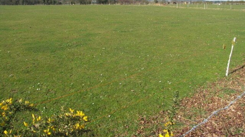 Fields at Bearwood To the west, open land extends for a considerable distance.