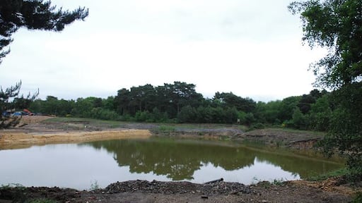 Water-filled gravel pit on Canford Heath