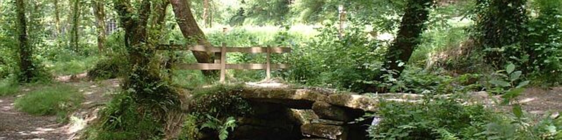 Lady Vale Bridge, Cardinham Woods, Cornwall. This ancient "clapper bridge", a simple form of stone bridge, crosses over Cardinham Water, a stream that runs through Cardinham Woods near Bodmin, Cornwall. The bridge, fenced-off for its own protection, stands on the former site of the Chapel of Our Lady.