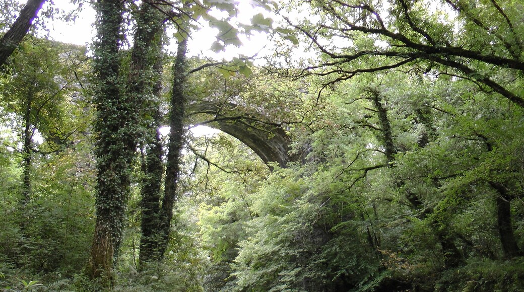 Viaduct of The Bodmin & Wenford over The River Fowey at Dreasonmoor Wood