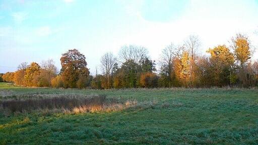 Fox Brake, Pulpit Hill, east of Sparsholt, Oxfordshire Pulpit Hill is a highway connecting Sparsholt to the east with Westcot. Fox Brake is the linear woodland strip reflecting the afternoon sun.