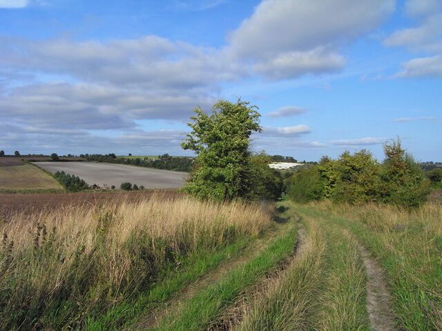 Green Road, Childrey The byway is on the parish boundary with Childrey to its left and Letcombe Bassett to the right. Arable fields are to either side with a chalk-pit visible ahead.