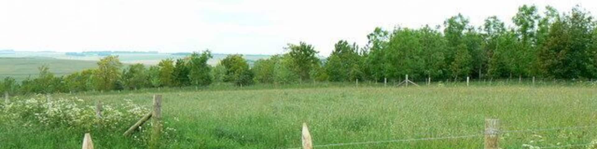 Farmland on the two degrees west meridian, Chitterne As best I could judge using map and compass, this is a view due north along the two degrees west meridian, the only line of longitude that exactly coincides with a national gridline. Having checked on Google Earth, I am about 15 metres out; the gridline is that bit further west from the viewpoint.
