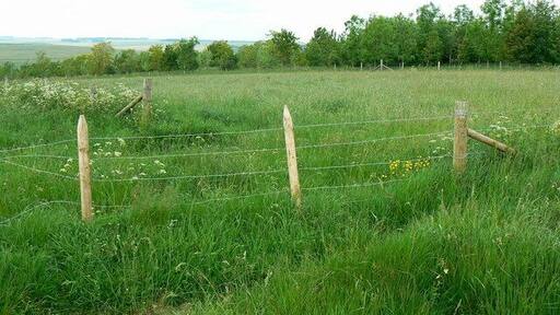Farmland on the two degrees west meridian, Chitterne As best I could judge using map and compass, this is a view due north along the two degrees west meridian, the only line of longitude that exactly coincides with a national gridline. Having checked on Google Earth, I am about 15 metres out; the gridline is that bit further west from the viewpoint.