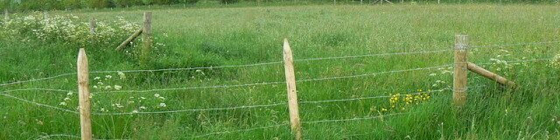 Farmland on the two degrees west meridian, Chitterne As best I could judge using map and compass, this is a view due north along the two degrees west meridian, the only line of longitude that exactly coincides with a national gridline. Having checked on Google Earth, I am about 15 metres out; the gridline is that bit further west from the viewpoint.