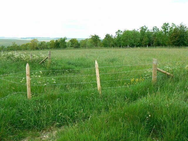 A grassy field with a wooden fence and a distant tree line.