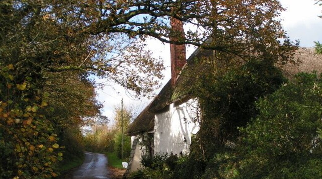 Thatched house on a quiet lane
