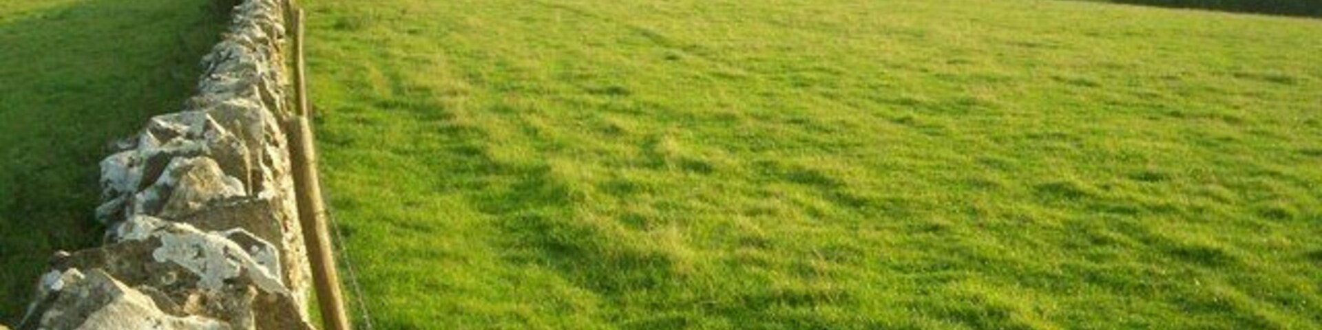 Straight Cotswold stone wall. Looking down the slope to Hinchwick Manor Farm.