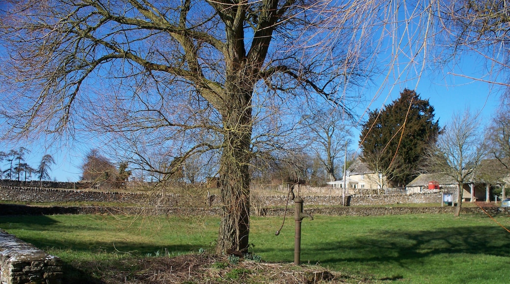 Village green, Condicote An attractive village in the centre of an area rich in history and historical remains. "On the western side of the green is a spring marked by a cross of which the basethree steps and a socketsurvive from the late 14th century. A new shaft and finial-cross were added in 1864. The finial-cross was later destroyed and was replaced in 1888 by one from the western gable-end of the church. The reputation of the spring as a holy well is thought to be a possible cause for the location of Condicote Camp. Certainly the spring made possible the settlement of the village, whose chief supply it was until the mid-20th century. Beneath the base of the cross, perhaps contemporary with it, was a cistern or dip-well, which by 1868 was fitted with a pair of doors. The supply was evidently then in some danger of contamination, and before 1926 the cistern was sealed off and a pump took its place. From before 1700 until about the mid19th century the spring filled a pond on the south side of the green. By 1882 the pond also was replaced by a pump, and a pump still marked the site in 1960. A main water supply, however, was brought to the village in 1937." From: 'Parishes: Condicote', A History of the County of Gloucester: volume 6 (1965), pp. 63-72.