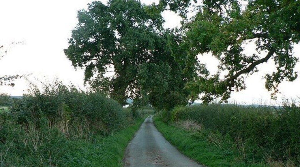 Chase View Lane, towards Ash Flats This is a very narrow lane from Coppenhall to Ash Flats. It has 2 right angled bends, this is the view from the northern bend looking towards Ash Flats.