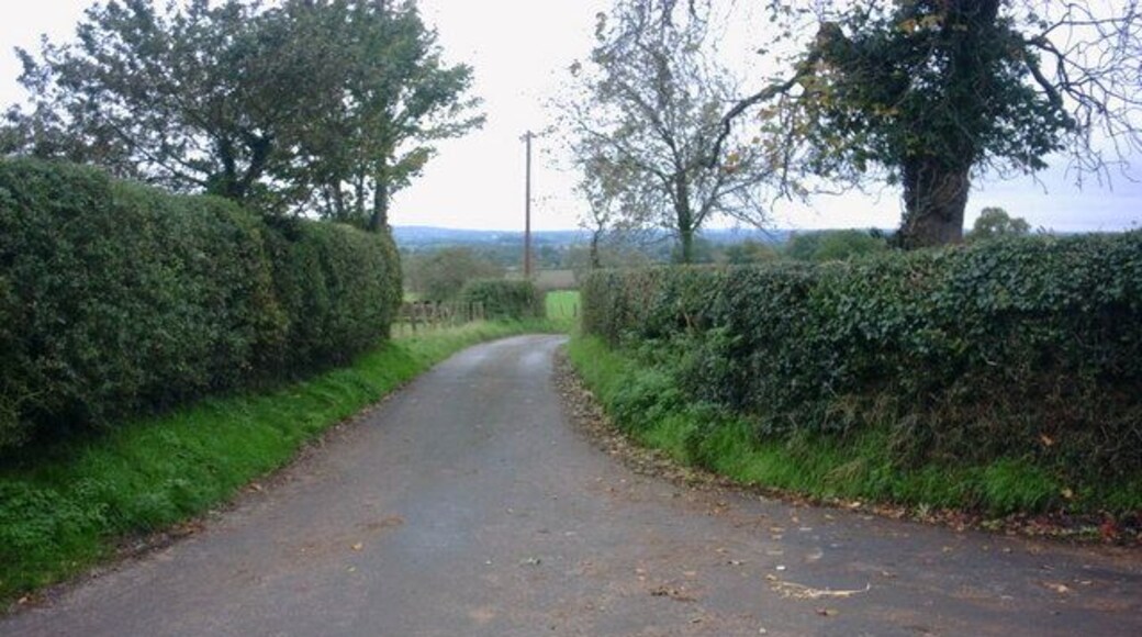 Country Lane, Butterhill, Stafford This un-named country lane at Butterhill leads to Penkridge. The lane to the right is a dead end where there is a farm and a Care Home for the elderly.