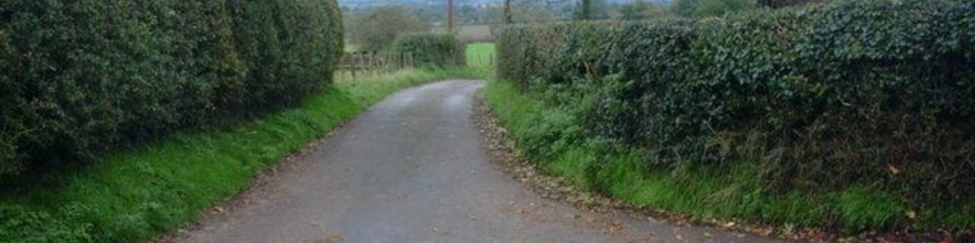 Uma estrada rural estreita ladeada por sebes e árvores, conduzindo a uma paisagem distante.
