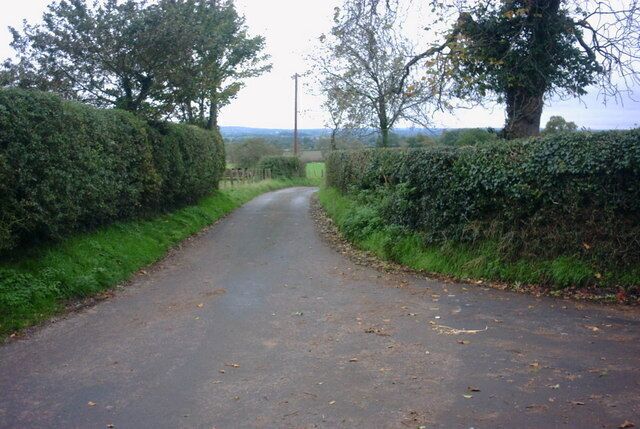 A narrow rural road flanked by hedges and trees, leading towards a distant landscape.