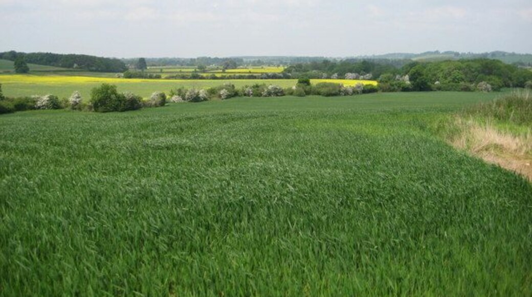 Danesmoor (site of the Battle of Edgcote) The Battle of Edgcote during the Wars of the Roses took place in this now tranquil vale close to the river Cherwel. The Earl of Pembroke and his mainly Welsh troops were travelling north to support Edward IV at Nottingham and came upon the rebel army led by Robin of Redesdale who were moving south to join forces with Warwick (the Kingmaker). The battle on the 26th July 1469 was a black day for the Welsh, Pembroke was captured and executed and 168 Welsh noblemen were killed along with many hundreds of common soldiers.