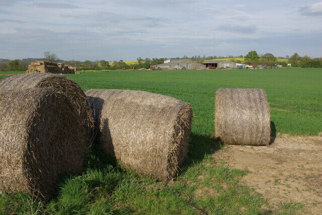 Danes Moor View towards farm buildings on the Trafford Bridge - Culworth road.