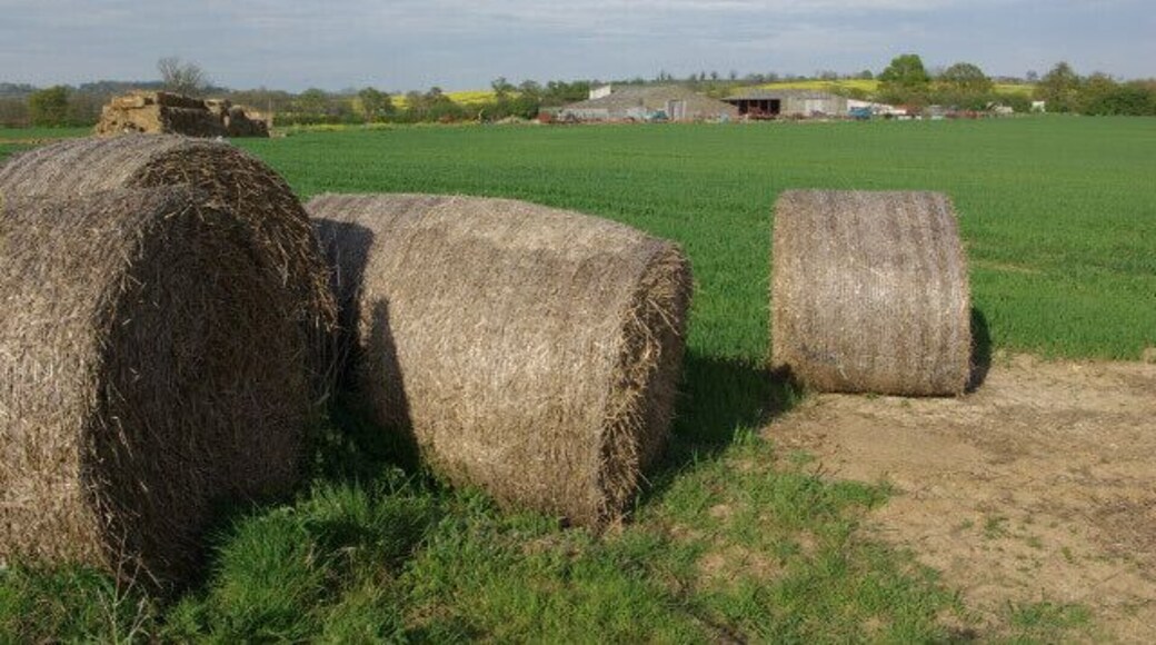 Danes Moor View towards farm buildings on the Trafford Bridge - Culworth road.