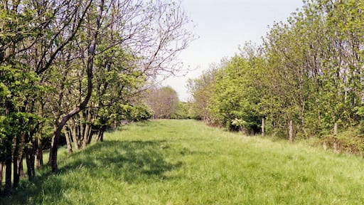 Site of Eydon Road Halt, near Culworth 1992. View northward: a sylvan scene where once ran the important ex-Great Central line between Woodford Halse (Culworth Junction) on the 'London Extension' and Banbury on the ex-GWR system. Halts on this line were served by a few local trains, but the line mainly served as an important link for North-South freight and some through express passenger traffic - until at a stroke all was abandoned on 5/9/66, and since then everything has proceeded along the A34 road system