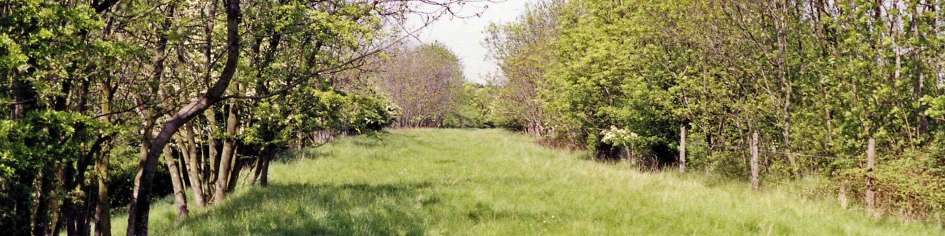 Site of Eydon Road Halt, near Culworth 1992. View northward: a sylvan scene where once ran the important ex-Great Central line between Woodford Halse (Culworth Junction) on the 'London Extension' and Banbury on the ex-GWR system. Halts on this line were served by a few local trains, but the line mainly served as an important link for North-South freight and some through express passenger traffic - until at a stroke all was abandoned on 5/9/66, and since then everything has proceeded along the A34 road system